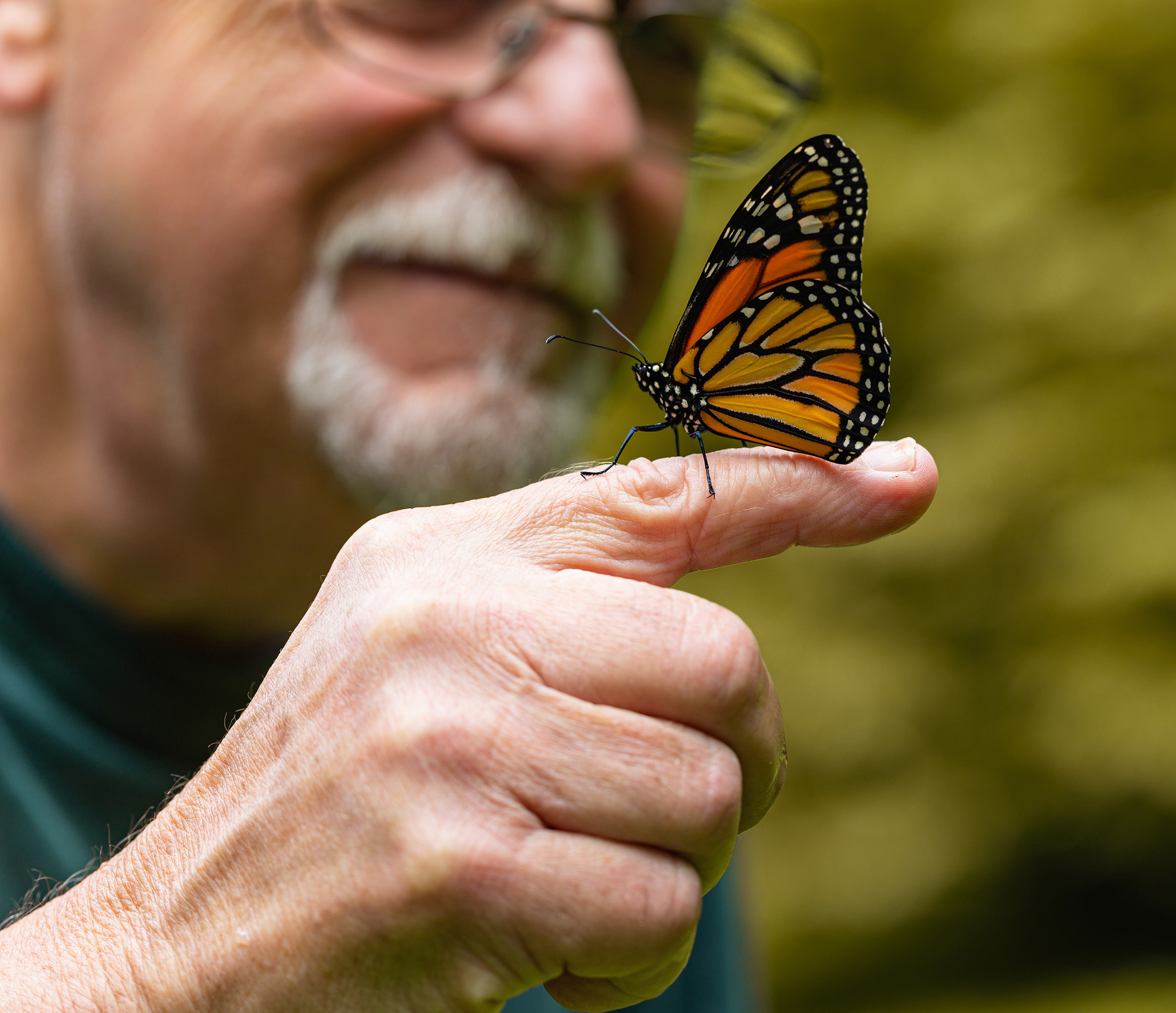 a monarch butterfly stands perched on the index finger of a man's hand; in the background, slightly burred, he looks at the butterfly with wonder