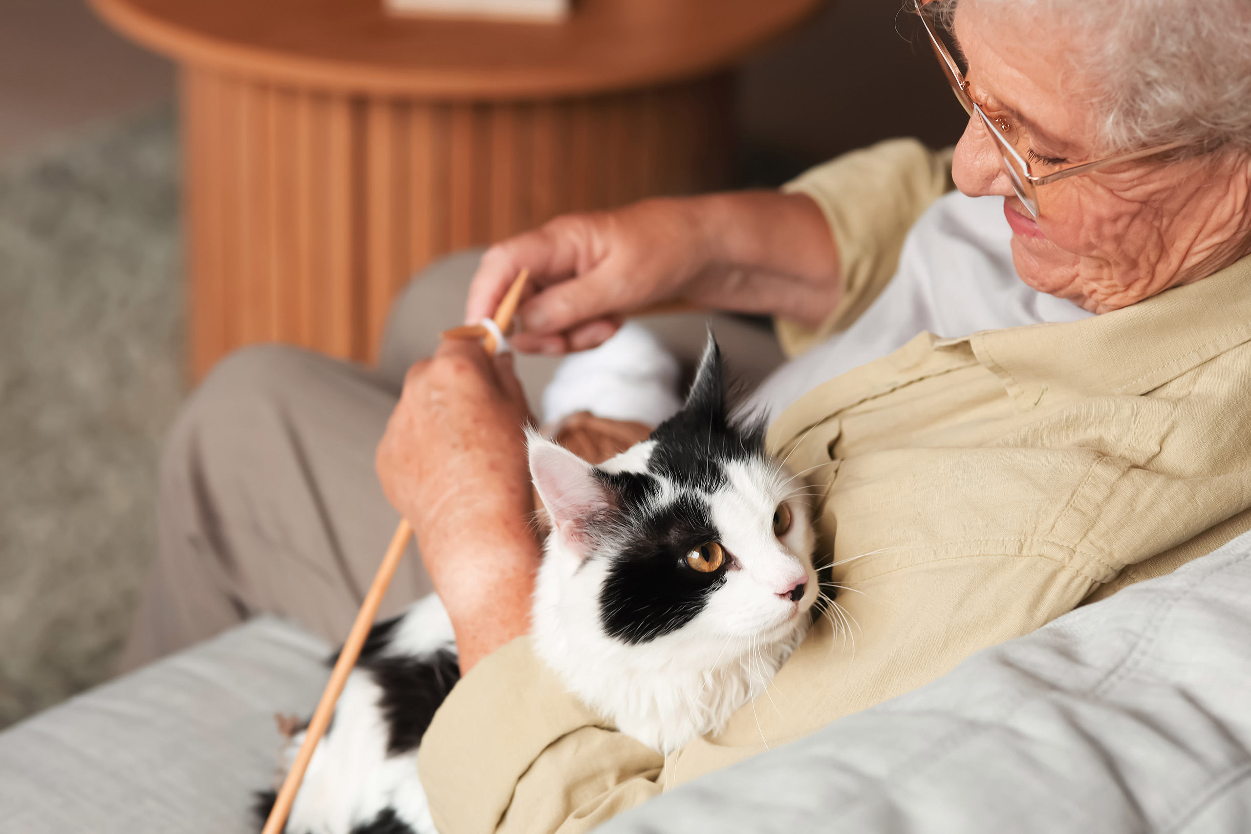 a black and white cat rests in the arm of a resident, who is seated on a couch while knitting
